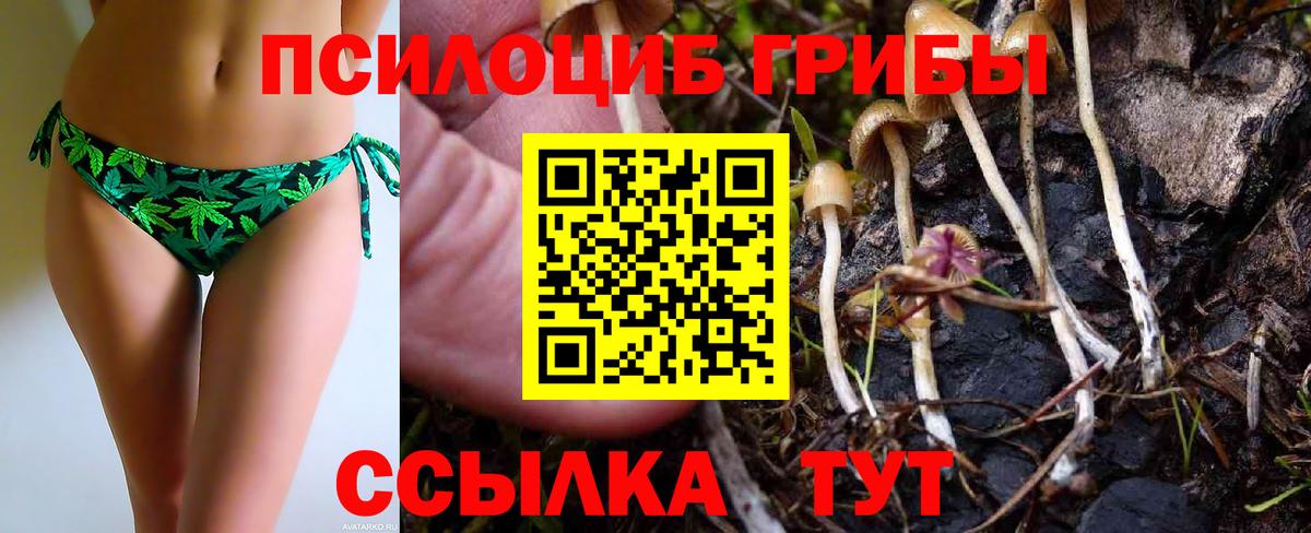 Нарткала  Псилоцибиновые грибы прущие грибы  Вход с VPN 